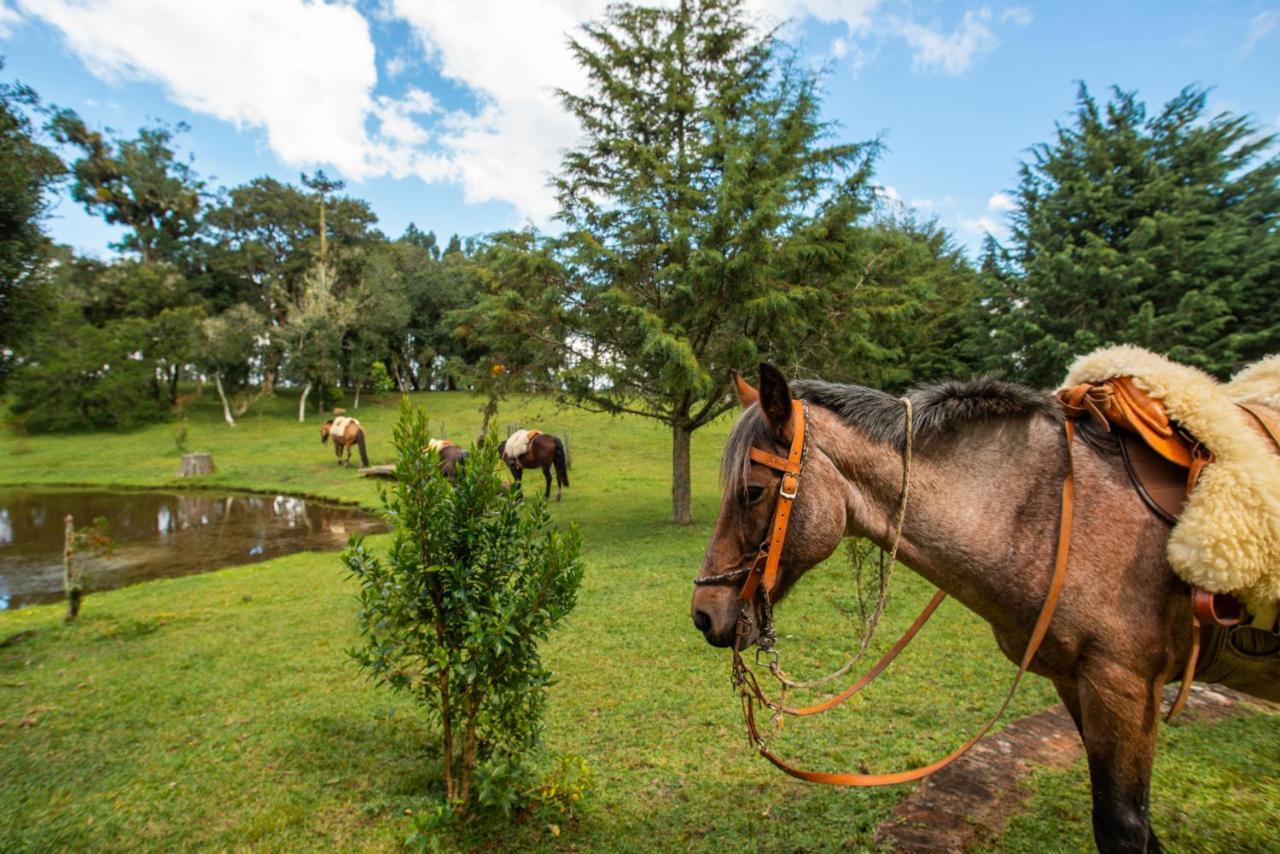 Aires De Patagonia Hotel Cambará Екстериор снимка